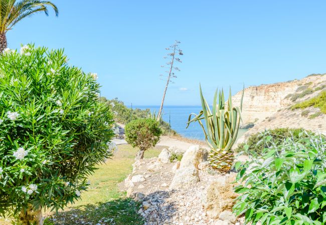 Appartement in Carvoeiro - The Little Paradise with Sea Views Appartement in Carvoeiro - The Little Paradise with Sea Views