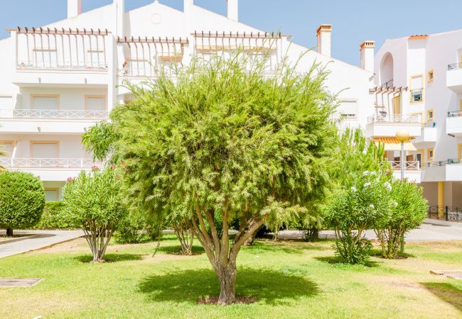 Appartement in Albufeira - Alfamar Apartment at Praia da Falesia Appartement in Albufeira - Alfamar Apartment at Praia da Falesia