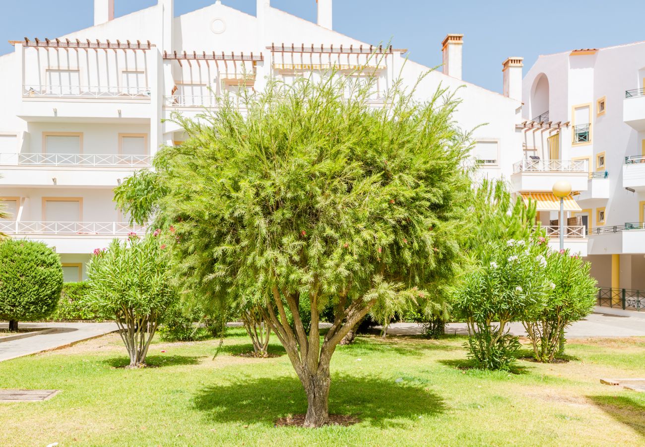 Appartement in Albufeira - Alfamar Apartment at Praia da Falesia Appartement in Albufeira - Alfamar Apartment at Praia da Falesia