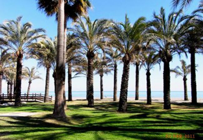 Apartamento en Torremolinos - Santa clara Torre 2 Apartment Apartamento en Torremolinos - Santa clara Torre 2 Apartment