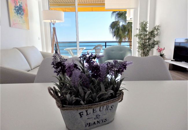 Apartamento en Torremolinos - Santa clara 4 Apartment Apartamento en Torremolinos - Santa clara 4 Apartment