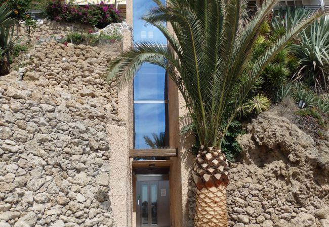 Apartamento en Torremolinos - santa clara 1 Apartament Apartamento en Torremolinos - santa clara 1 Apartament