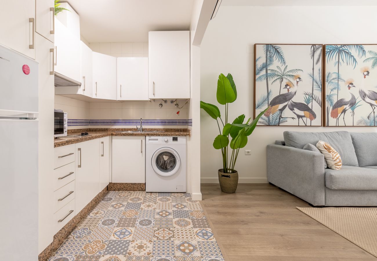 Apartamento en Málaga - !!!!!!!!0004 Thyssen 1C Apartamento en Málaga - !!!!!!!!0004 Thyssen 1C