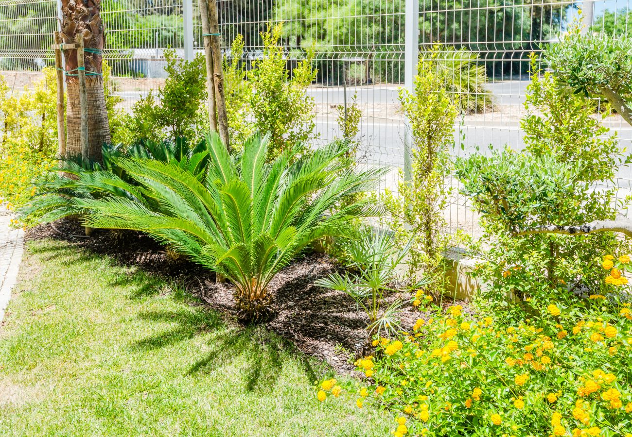 Apartamento en Vilamoura - Lakes 24 at Praia da Falesia Vilamoura Apartamento en Vilamoura - Lakes 24 at Praia da Falesia Vilamoura