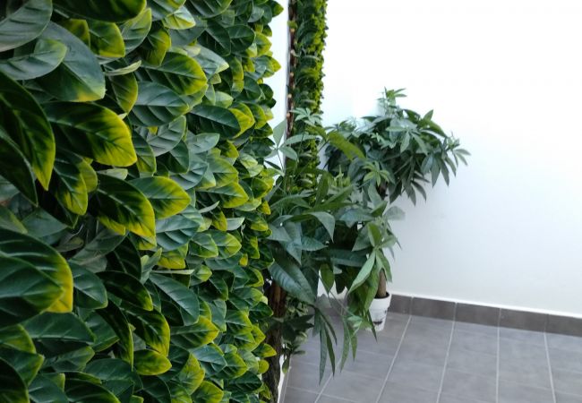 Apartment in Málaga - !!!!!!!!0012 A Pompidou Terraza 1A Apartment in Málaga - !!!!!!!!0012 A Pompidou Terraza 1A