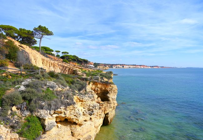Apartment in Albufeira - Balaia apartment at Albufeira Apartment in Albufeira - Balaia apartment at Albufeira