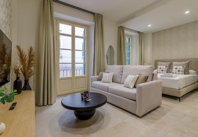 Studio in Málaga - !!!!!!!!0004 Plaza del Siglo 1C Studio in Málaga - !!!!!!!!0004 Plaza del Siglo 1C